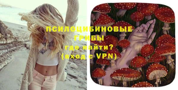 гидра Аркадак